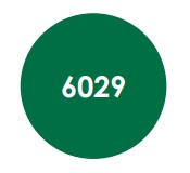 50 mini plateaux vert