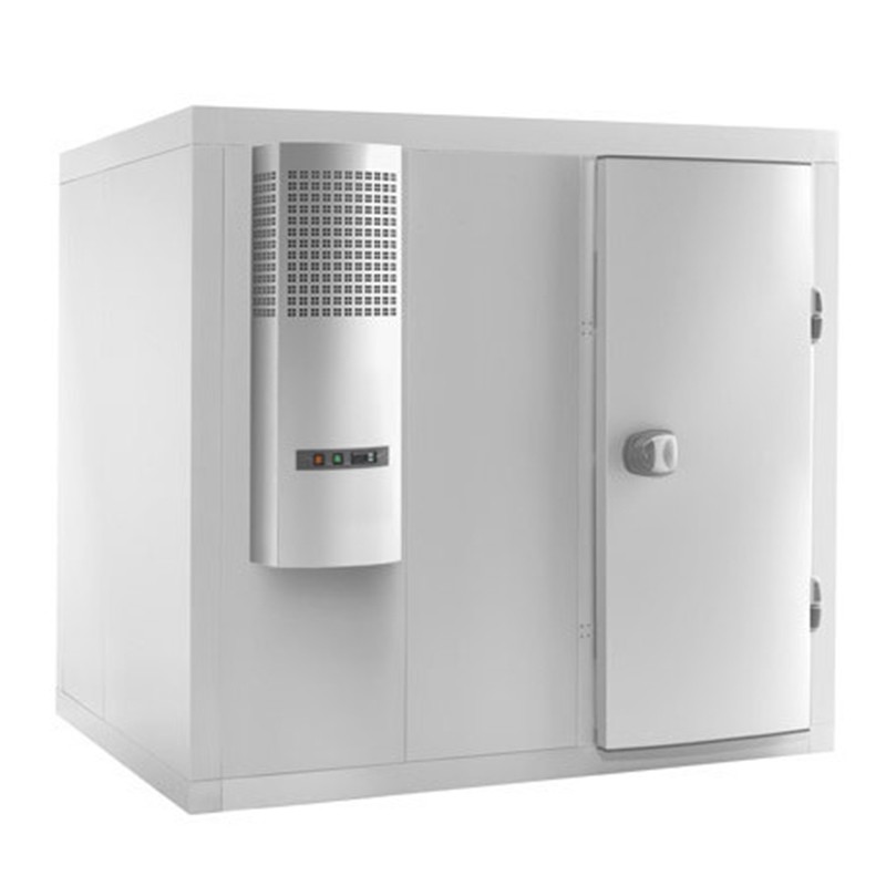 Chambre froide négative 100mm 2040x2340x2100mm MERCATUS