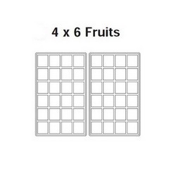 Fruits 4x6