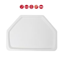 Lot de 20 plateaux Gastronorm Trapèze 530x325