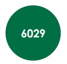 Lot de 20 Trapèzes Vert