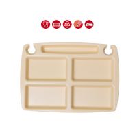 Lot de 30 plateaux polypropylène 310x235 MiniParty