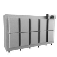 Surgélateur Conservateur 2x -35C et 8 x -20C 400X600mm